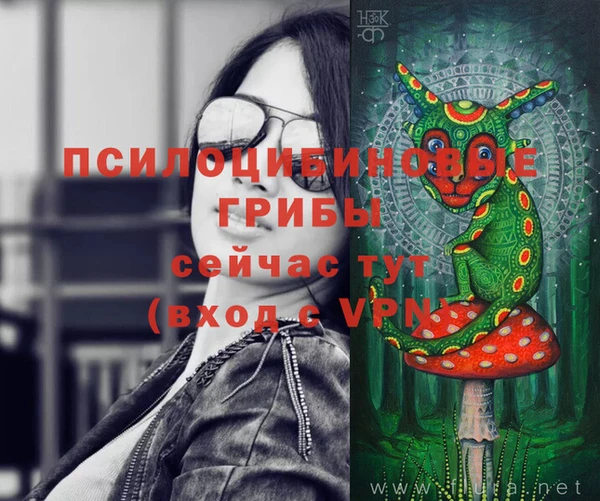 тгк Алексин