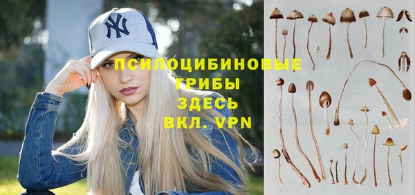 кокаин Алексеевка